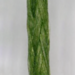 foto1-11